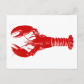 Deep Red Lobster on White Postkarte (Vorderseite)