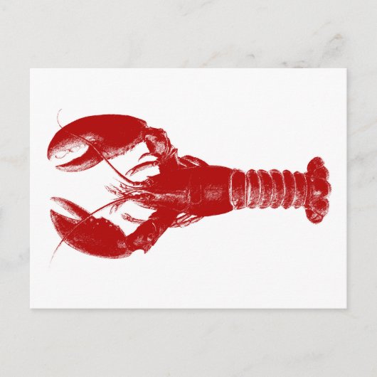 Deep Red Lobster on White Postkarte (Vorderseite)