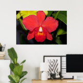 Deep Red Orchid Poster (Heimbüro)