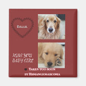 Deep Red Pet Loss Tribute Magnet (Vorne)