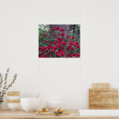 Deep Red Rhododendrons Floral Fotografy Poster (Küche)