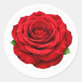 Deep Red Rose Round Envelope Seal Sticker (Vorderseite)