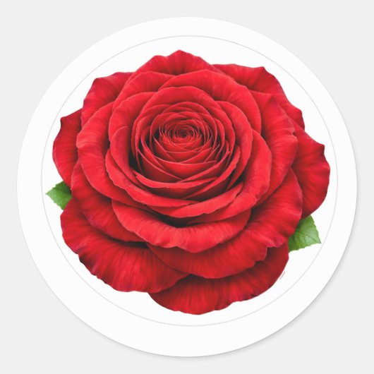 Deep Red Rose Round Envelope Seal Sticker (Vorderseite)