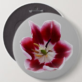 Deep Red Tullip Button (Vorne & Hinten)