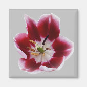 Deep Red Tullip Magnet (Vorne)