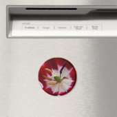 Deep Red Tullip Magnet (In Situ (Geschirrspüler))