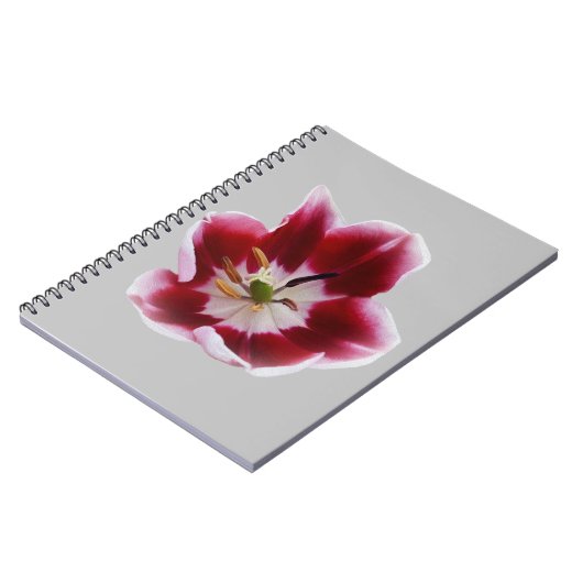 Deep Red Tullip Notizblock (Linke Seite)