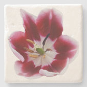 Deep Red Tullip Steinuntersetzer (Vorderseite)