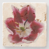Deep Red Tullip Steinuntersetzer (Vorderseite)