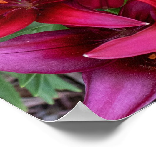 Deep Reds Poster (Ecke)