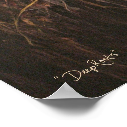 "Deep Roots" Originalkunst von Beth Morrell Poster (Ecke)