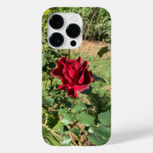 Deep Rote Rose iPhone 14 Pro Fall Case-Mate iPhone Hülle (Rückseite)