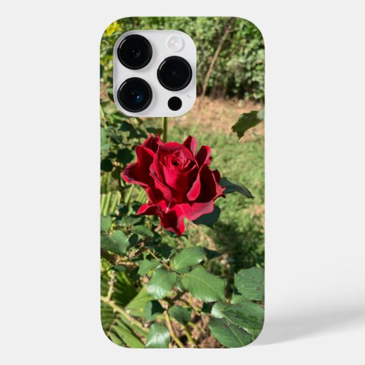 Deep Rote Rose iPhone 14 Pro Fall Case-Mate iPhone Hülle (Rückseite)