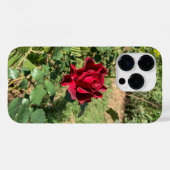 Deep Rote Rose iPhone 14 Pro Fall Case-Mate iPhone Hülle (Rückseite (Horizontal))