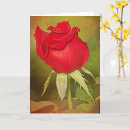 Deep Rote Rose Scripture Card James 1:17 Karte (Gelbe Blume)