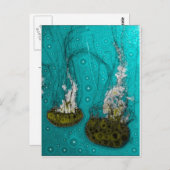 Deep Sea Jellies Postcard Postkarte (Vorne/Hinten)