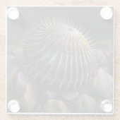 Deep Sea Urchin Glasuntersetzer (Rückseite)