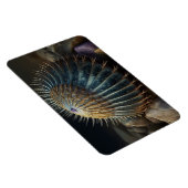 Deep Sea Urchin Magnet (Rechte Seite)