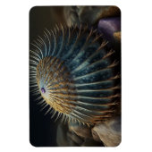 Deep Sea Urchin Magnet (Vertikal)