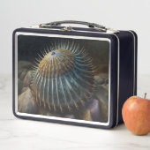 Deep Sea Urchin Metall Brotdose (Beispiel)