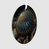 Deep Sea Urchin Ornament (Vorderseite)