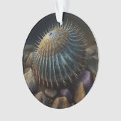 Deep Sea Urchin Ornament (Vorderseite)
