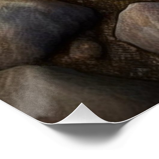 Deep Sea Urchin Poster (Ecke)