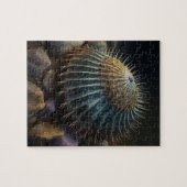 Deep Sea Urchin Puzzle (Horizontal)