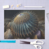 Deep Sea Urchin Seidenpapier (Handwerk)