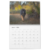 Deep South Leonberger Kalender (Mär 2026)