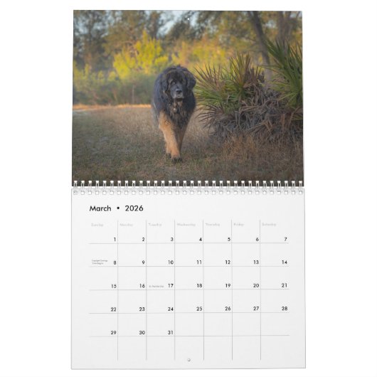 Deep South Leonberger Kalender (Mär 2026)