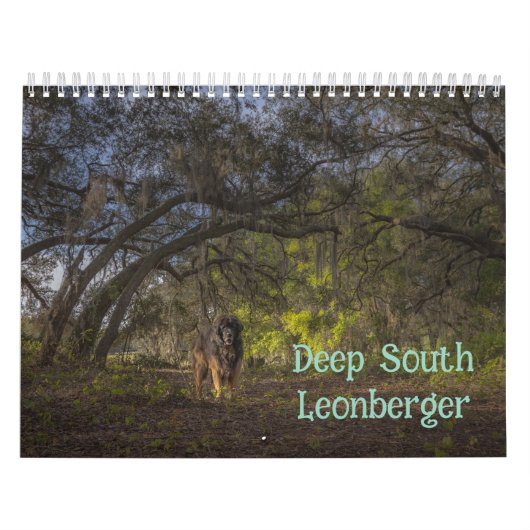 Deep South Leonberger Kalender (Titelbild)