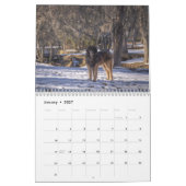 Deep South Leonberger Kalender (Jan 2027)