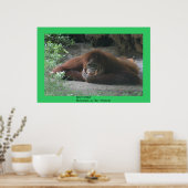 Deep Thinker Poster (Küche)