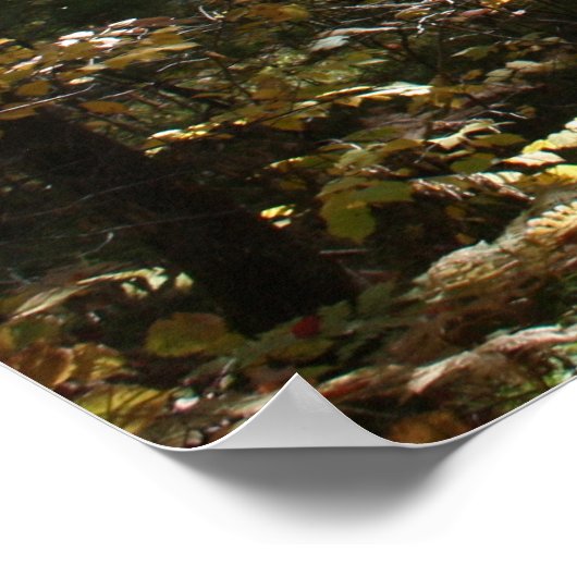 Deep Woods Beauty Poster (Ecke)