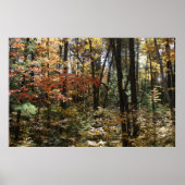 Deep Woods Beauty Poster (Vorne)