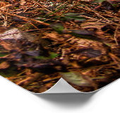 Deep Woods Pitstop Poster (Ecke)