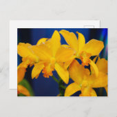 Deep Yellow Orchias Postkarte (Vorne/Hinten)