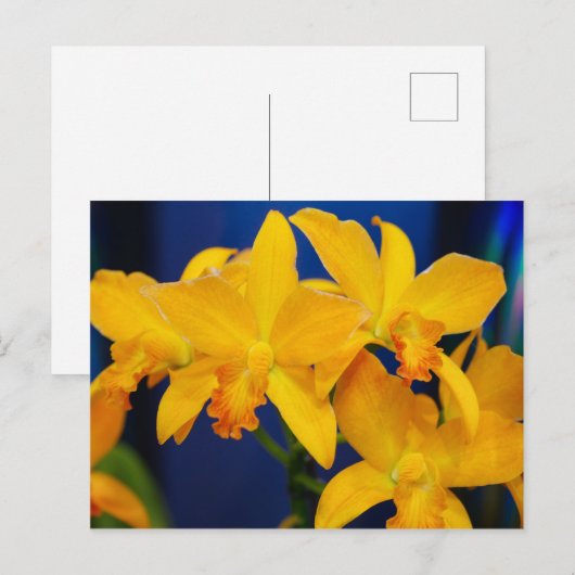 Deep Yellow Orchias Postkarte (Vorne/Hinten)