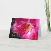 "Deepest Beileid" Rosa Rugosa Rose Card Karte (Vorderseite)