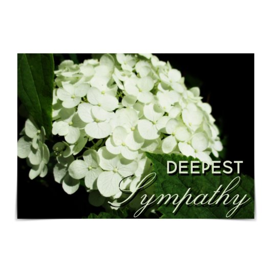 "Deepest Beileid" White Hydrangea Card Karte