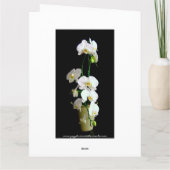 Deepest Beileid White Orchids Card Karte (Rückseite)