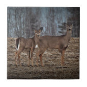 Deer_0337v Fliese (Vorderseite)