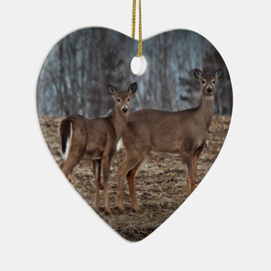 Deer_0337v Keramik Ornament (Rechts)