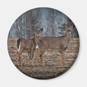Deer_0337v Magnet (Vorne)