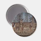 Deer_0338v Magnet (Vorderseite/Rückseite)