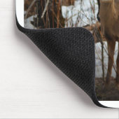 Deer_0373v Mousepad (Ecke)
