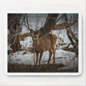 Deer_0373v Mousepad (Vorne)
