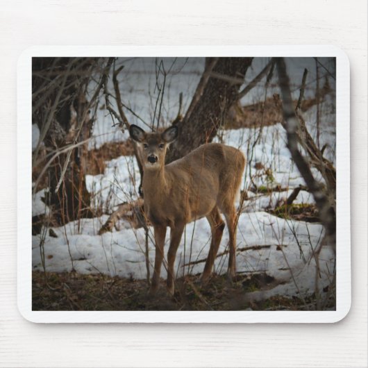 Deer_0373v Mousepad (Vorne)