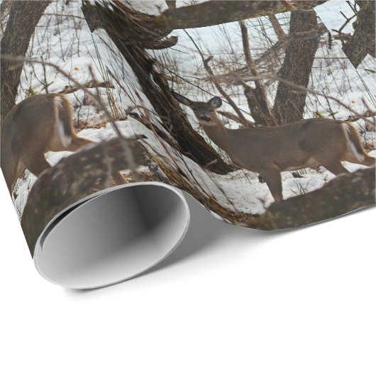 Deer_0376 Geschenkpapier (Rolleneckpunkt)